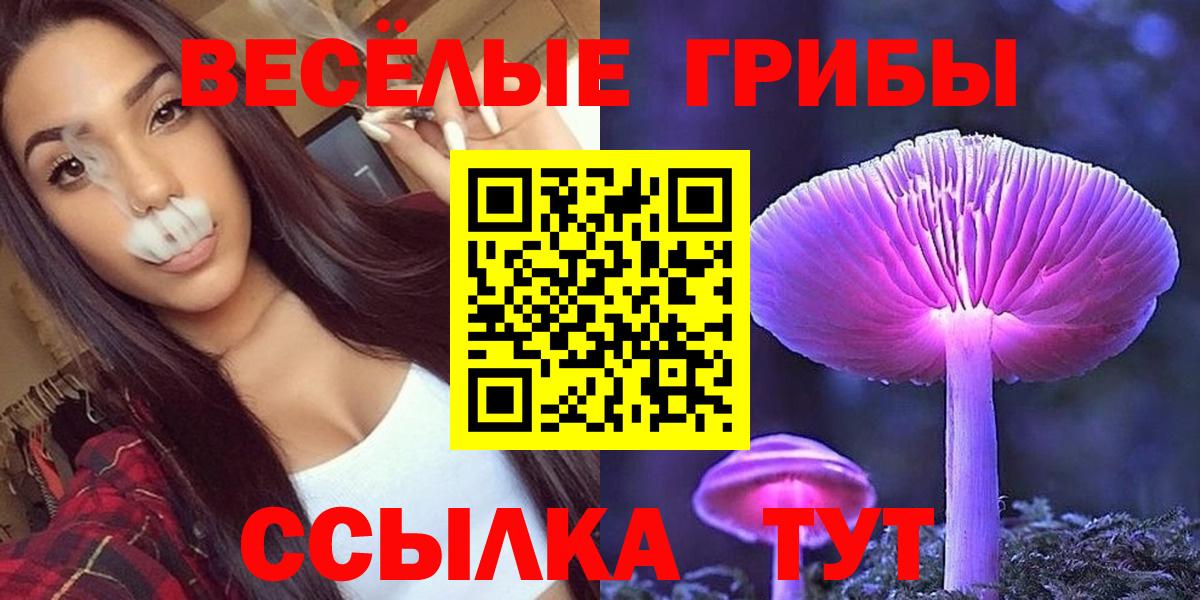 Кимры  Псилоцибиновые грибы Cubensis  Вход с VPN  Псилоцибиновые грибы Psilocybine cubensis 